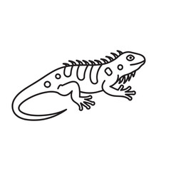  lizard animal line art isolated flat vector illustration on white background