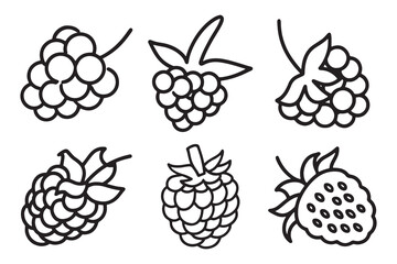 Raspberries Fruit line art set isolated flat vector illustration on white background