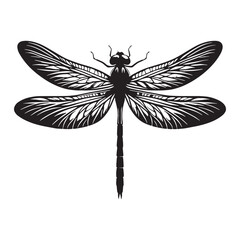 Beautiful Dragonfly silhouette, with wings shimmering in the light – Dragonfly illustration – Dragonfly vector – Insect silhouette

