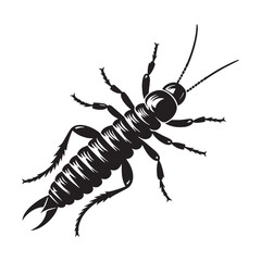 Silent Earwig silhouette, hiding in the dark – Earwig illustration – Earwig vector – Insect silhouette

