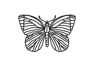 Line art botanical butterfly, drawing black outline isolated on white background. Hand drawn butterfly vector illustration. Graphic design doodle element for Birthday Coloring Card Print Icon Symbol