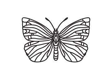 Line art botanical butterfly, drawing black outline isolated on white background. Hand drawn butterfly vector illustration. Graphic design doodle element for Birthday Coloring Card Print Icon Symbol