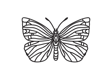 Line art botanical butterfly, drawing black outline isolated on white background. Hand drawn butterfly vector illustration. Graphic design doodle element for Birthday Coloring Card Print Icon Symbol
