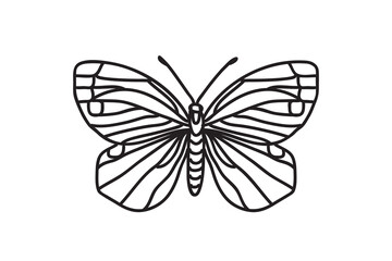 Line art botanical butterfly, drawing black outline isolated on white background. Hand drawn butterfly vector illustration. Graphic design doodle element for Birthday Coloring Card Print Icon Symbol