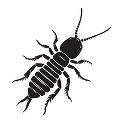 Swift-moving Earwig silhouette, a quick and stealthy crawler – Earwig illustration – Earwig vector – Insect silhouette

