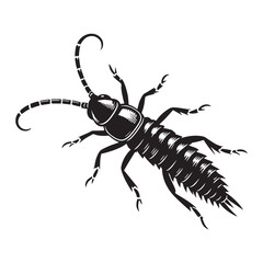 Mysterious Earwig silhouette, known for its nocturnal habits – Earwig illustration – Earwig vector – Insect silhouette

