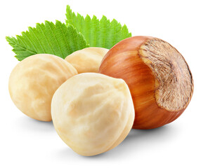 Hazelnut isolated png. Peeled and unpeeled hazelnut with leaf on transparent background. Perfect retouched forest filbert nut no background. Transparent png. Full depth of field.