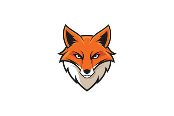 Fototapeta premium red fox isolated on white