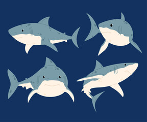 Set of sea shark illustrations. Marine or ocean animals. Underwater animal, marine life. Predator.