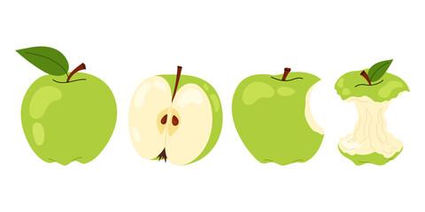 Set green apple. Ripe and bitten apple, an apple stump isolated on white background. For food, healthy lifestyle themes or school.