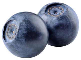 Bilberry isolated png. Bilberry on white or transparent background. Perfect retouched two blueberries no background. Png bilberries. Full depth of field.