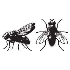 Black Fly silhouette, a strong icon of flying pests – Fly illustration – Minimalist Fly vector – Insect silhouette

