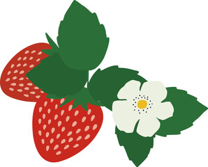 いちご-strawberry-