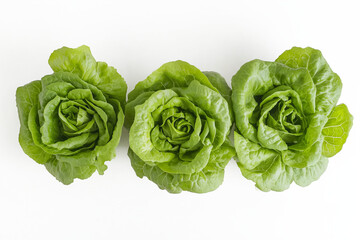 Fototapeta premium Three romaine lettuce heads, casually arranged on a white background