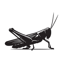 Leaping Grasshopper silhouette, known for its acrobatic moves &ndash; Grasshopper illustration &ndash; Minimalist Grasshopper vector &ndash; Insect silhouette

