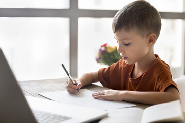 Diligent remote student. Portrait busy junior school age boy sit at home desk before notebook...