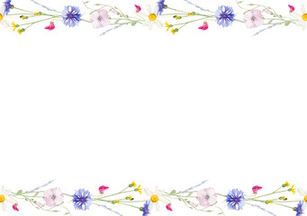 Watercolor floral seamless border. Wild meadow blue cornflowers, chamomile, pink, violet, orange, yellow flowers, herb