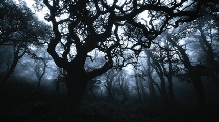 silhouette scary tree