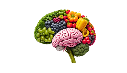 Brain Made of Fruits and Vegetables – Healthy Mind Nutrition Concept