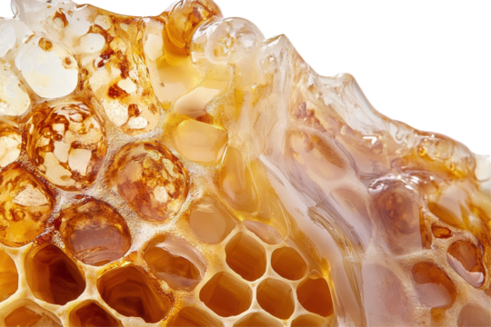 Isolated Closeup Honeycomb with Liquid
