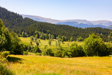 Obraz premium Meadows and forest covered hills on the highlands. Savsat district of Artvin