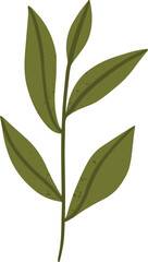 Tea leaf plant icon vector illustration graphic design