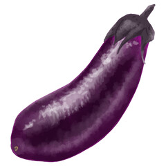 リアルな茄子1本のベクターイラスト