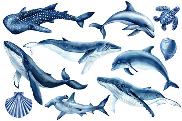 Whales, dolphins, sharks, sea turtle and shells marine wildlife illustration isolated. Clipart watercolor ocean animals 