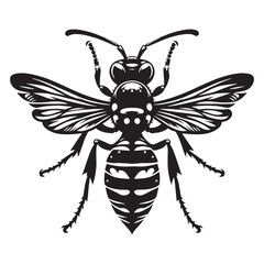 Bold Wasp silhouette, detailed in minimalist vector style – Wasp illustration – Minimalist Wasp vector – Insect silhouette

