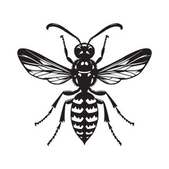 Menacing Wasp silhouette, showcasing its fierce form – Wasp illustration – Minimalist Wasp vector – Insect silhouette

