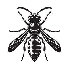 Alert Wasp silhouette, poised to defend its nest – Wasp illustration – Minimalist Wasp vector – Insect silhouette

