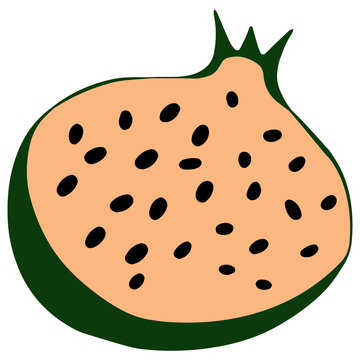 orange pomegranate fruit with black seeds clip art preview