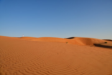 Dunes of Rub Al Khali desert. Wahiba Sands. Sultanate of Oman.