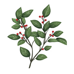 Very Simple flat 2D icon Christmas Holly sprigs isolated on a white background, vector, flat design, animation design, simple flat 2D icon, minimalist design, clipart