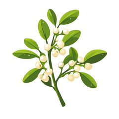 My Simple flat 2D illustration of Christmas Mistletoe Leaves isolated on a white background, AI, vector mint leaves branch icon set, Ai simple design 