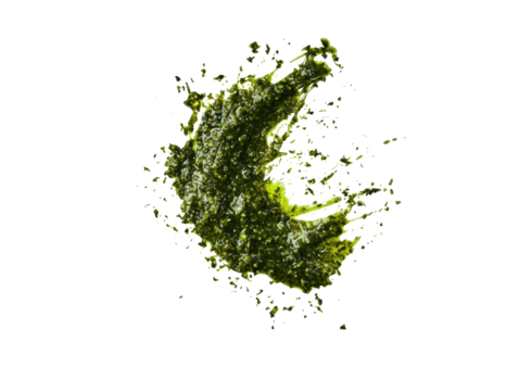 Pesto sauce being squeezed into a playful shape on a clean white backdrop, crisp and isolated for use in advertising or menu designs.