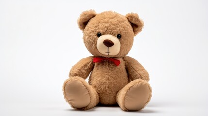 portrait teddy bear on white