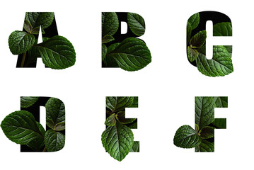 Letters A B C D E F with leaves in text alphabet