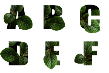 Letters A B C D E F with leaves in text alphabet
