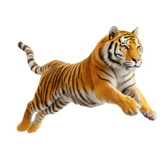 Fototapeta premium Tiger leaping, isolated on white background. Powerful predator in motion.