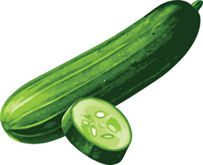 One whole cucumber and one cucumber partially sliced