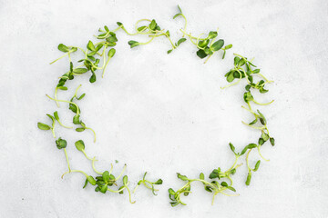 Fresh sprouting microgreens, top view. Sprouted peas seeds micro greens. Vegan food