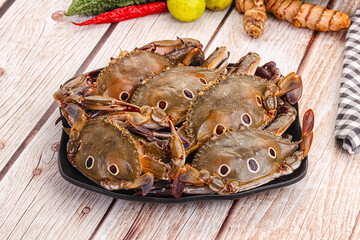 Wild raw crab for cooking