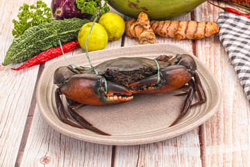 Wild raw crab for cooking
