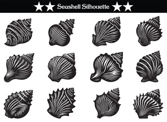 Seashell sink engraving monochrome set. Ocean exotic underwater seashell isolated on a white background