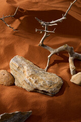 The boulder had a rough surface with bumps and cracks running all over it. Pebbles were placed around on the dry brown sand. Gnarled and bare branches with sharp thorns and holes. Desert concept.