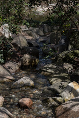Shaded garden stream with rocks and foliage
