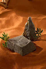 A flat, dark gray rectangular boulder sits next to a rough, pointed cone-shaped stone. A tiny green plant with oval leaves grows from the cracks of the boulder. Fine sand surrounds rock and plants.