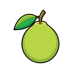 Guava Vector Illustration – Fresh Tropical Fruit Icon for Organic, Healthy Food Packaging, Smoothie, and Juice Designs
