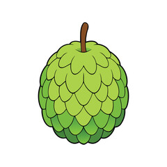 Custard Apple Vector Illustration – Fresh Tropical Fruit Icon for Organic Food Packaging, Juice Labels, and Healthy Diet Concepts